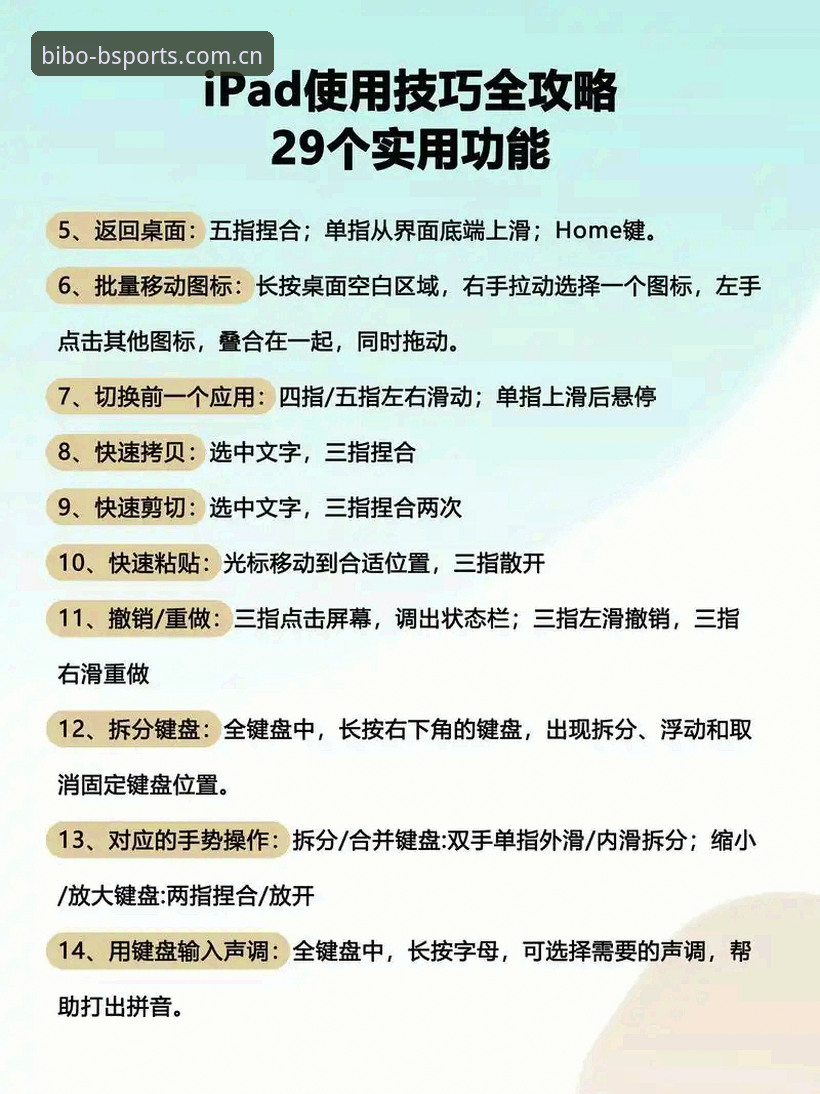 bsports平台操作流畅完整指南：从安装到极致体验的深度解析